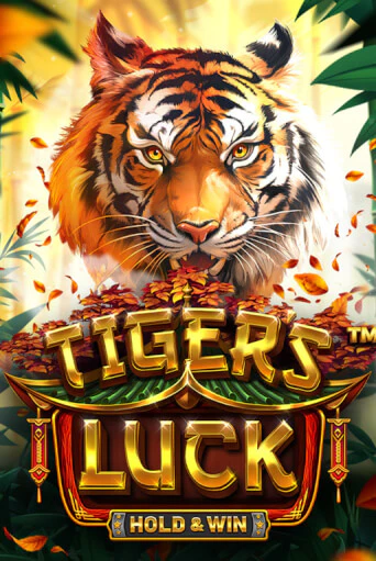 Tiger's Luck - Hold & Win демо игровой автомат | VAVADA Казино бесплатно